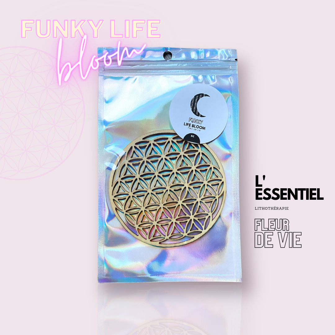 La fleur de vie ✨🌸 Rev. (lot de 5)