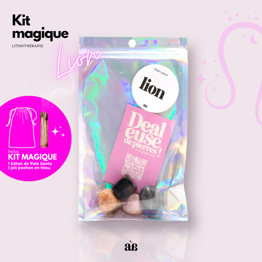 Kit rev. LION ♌️🦁💪 (lot de 3)